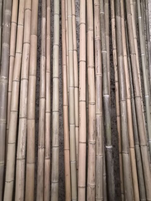 Bambous 7 Saint-Donat-sur-l'Herbasse (26)