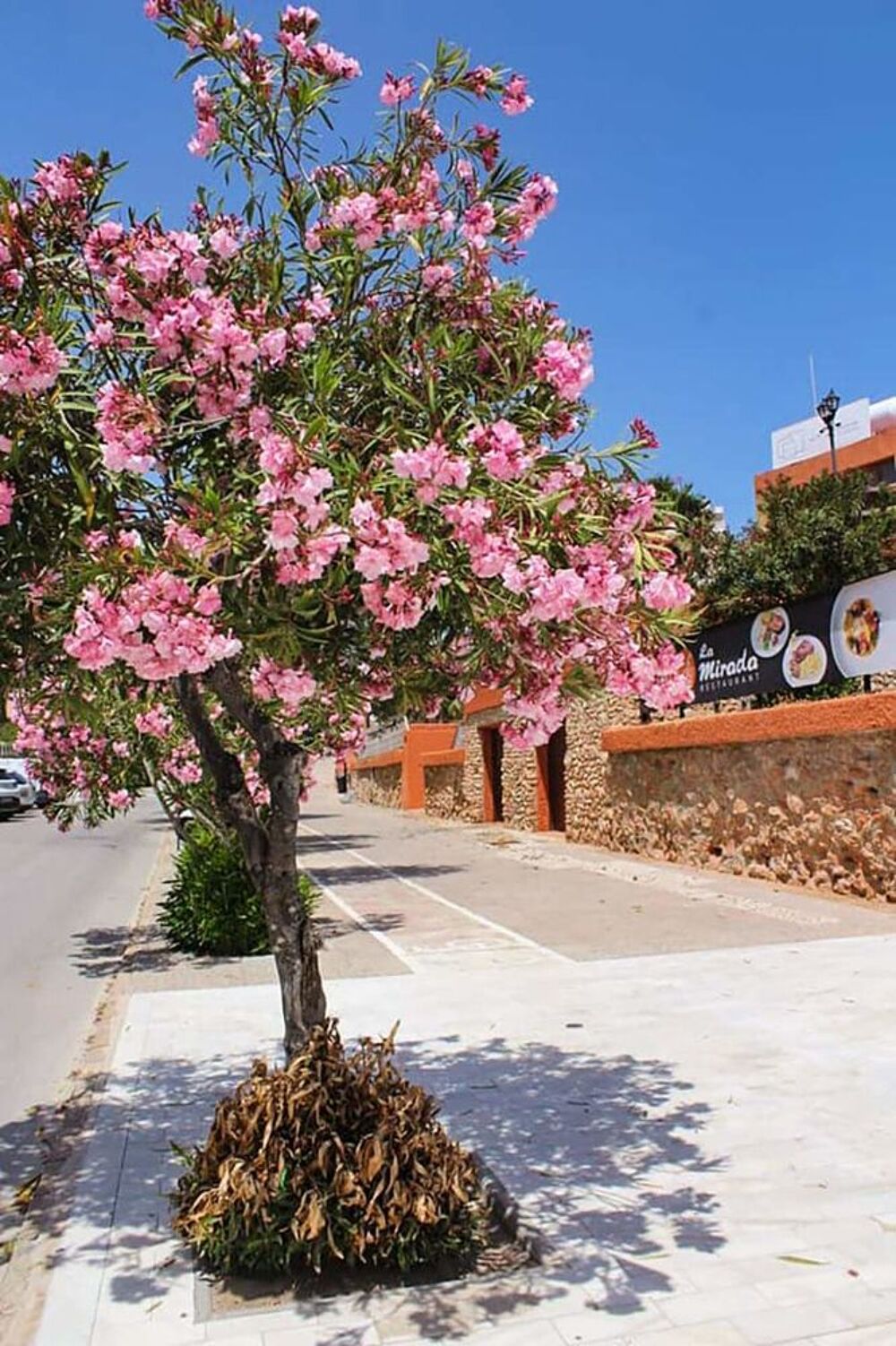    VILLA ,clim, piscine juste devant .ORIHUELA COSTA.ALICANTE. Espagne, ALICANTE. TORREVIEJA. ORIHUELA COSTA