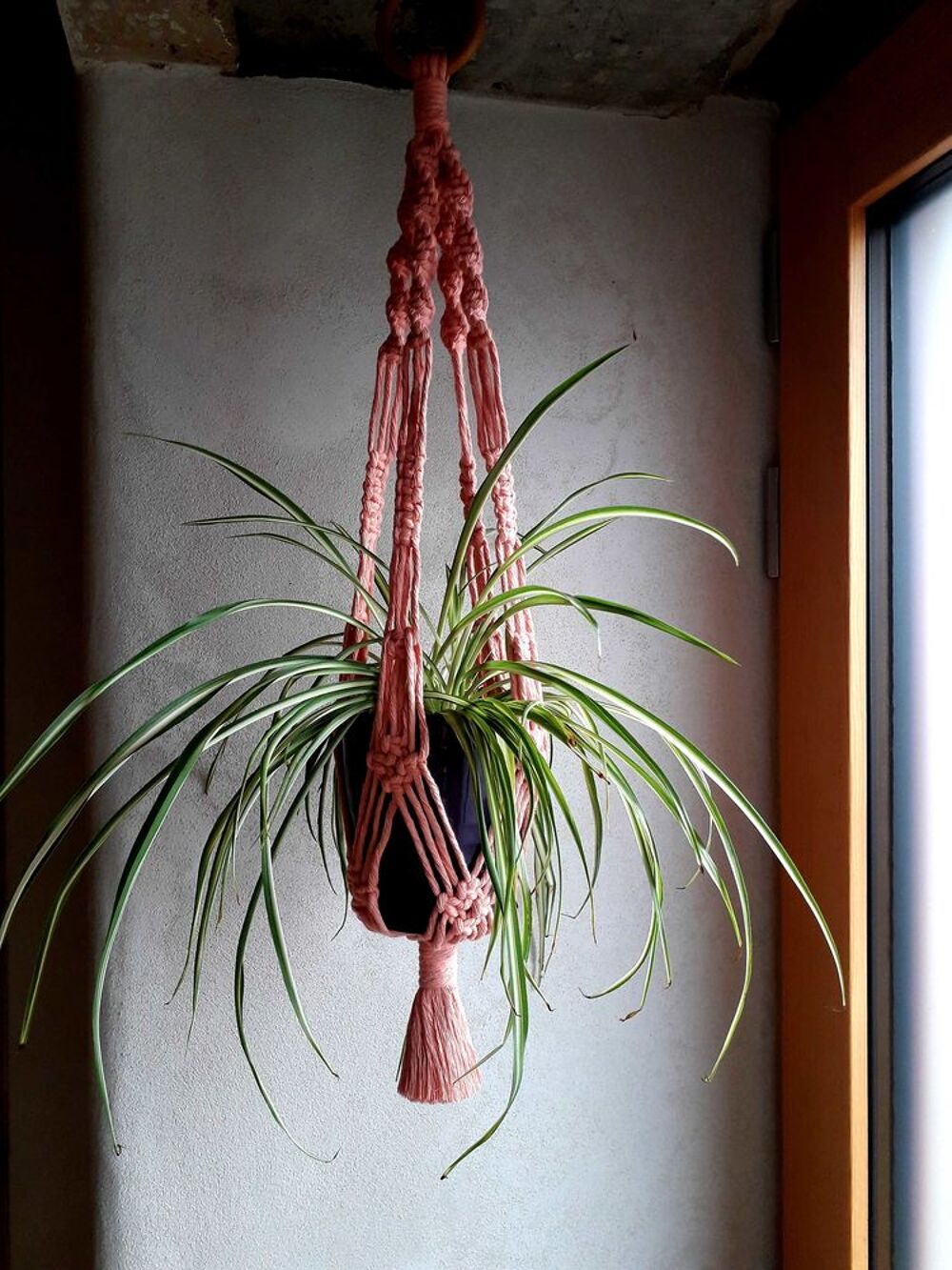 Suspension pour plante Décoration