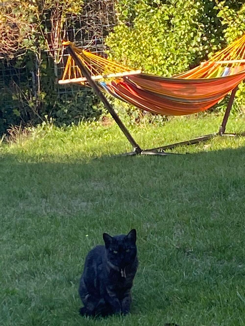 Hamac Natures et d&eacute;couvertes Jardin