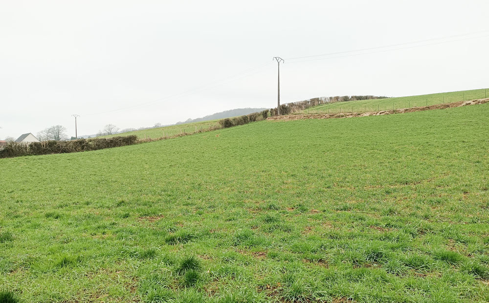 Vente Terrain SECTEUR LES GRANDES VENTES, TERRAIN 5.118 m2 Les grandes-ventes