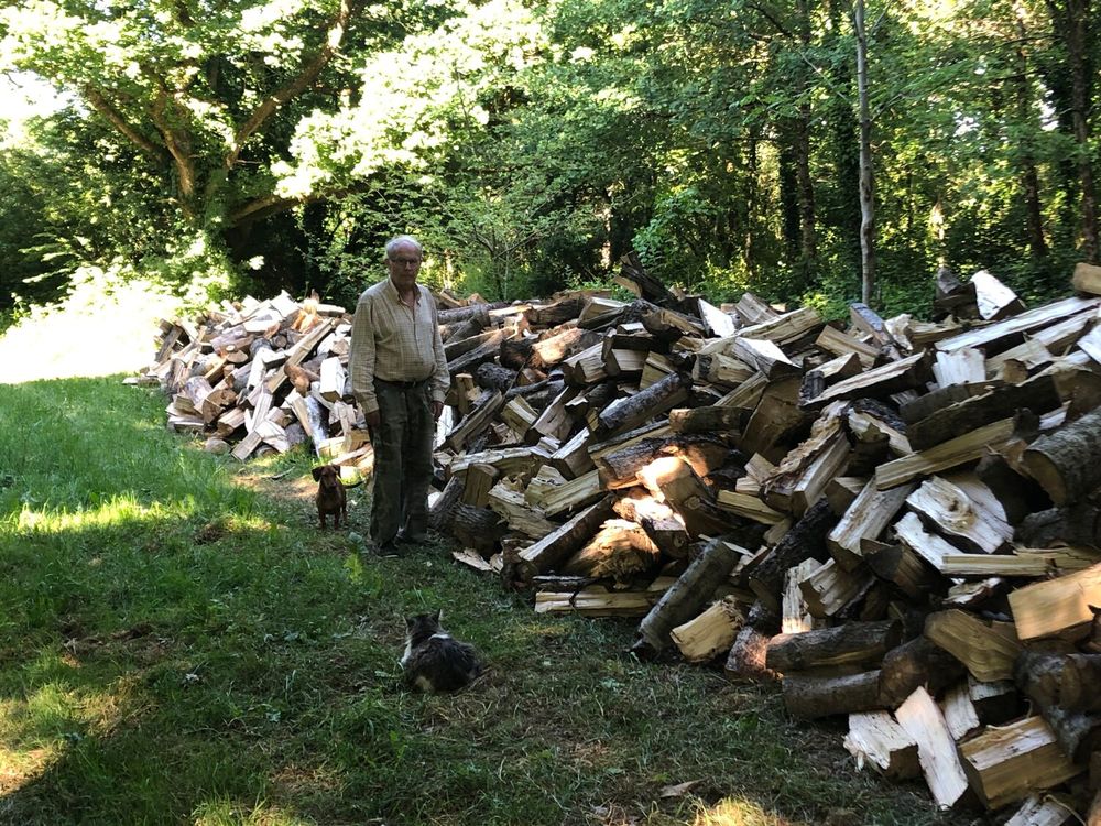 Bois de chauffage peuplier Bricolage