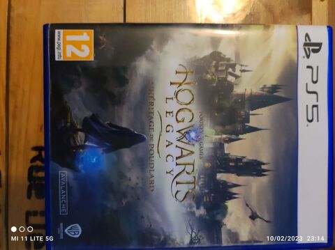Harry Potter Hogwarts Legacy PS5 45 Blagnac (31)