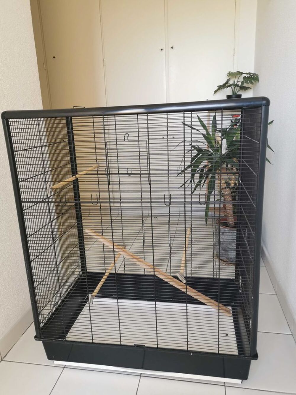 Cage oiseaux neuve Jardin