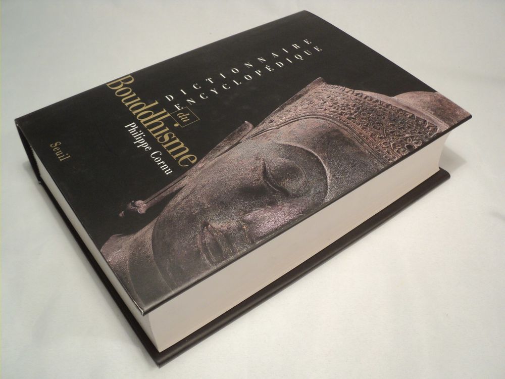 DICTIONNAIRE ENCYCLOP&Eacute;DIQUE DU BOUDDHISME
Livres et BD