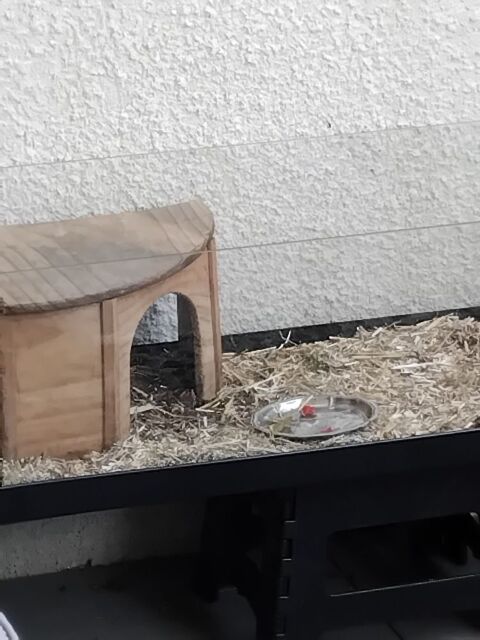 Terrarium 80 13090 Aix-en-provence