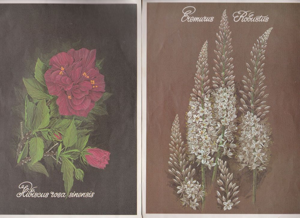 d&eacute;pliant de plantes/fleurs (collector) 