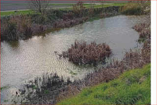  Ferme � vendre 6 pi�ces 156 m�