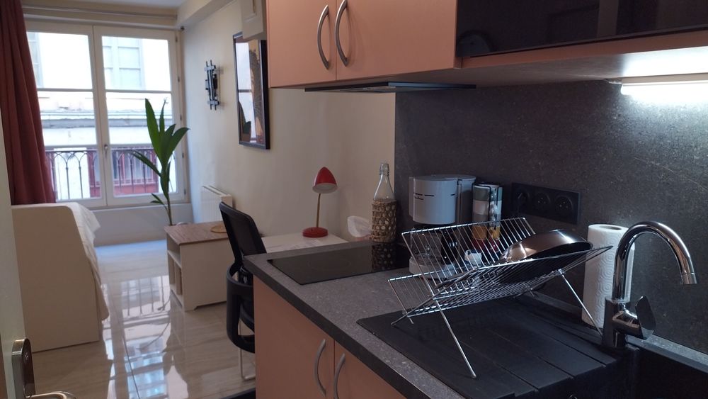 Location Appartement Studio 29 rue Imbert Colomès Lyon 1er Lyon 1