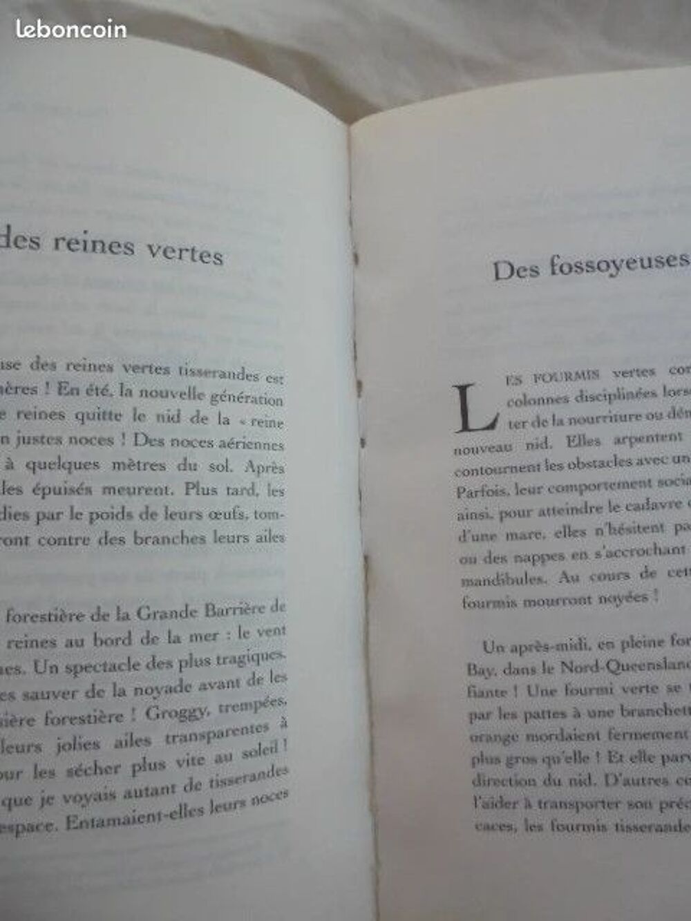 Un baiser d'ailes bleue Livres et BD