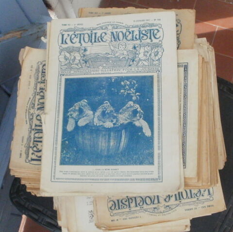  L'ETOILE NOELISTE  - 124 num�ros, voir d�tail 60 Montauban (82)