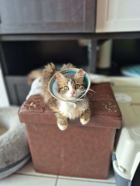 B&eacute;n&eacute;dicte 230 69150 D�cines-charpieu