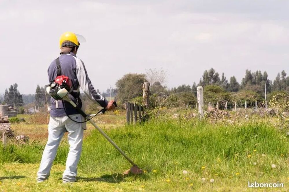   Cherche qqn pour débroussailler le jardin 
