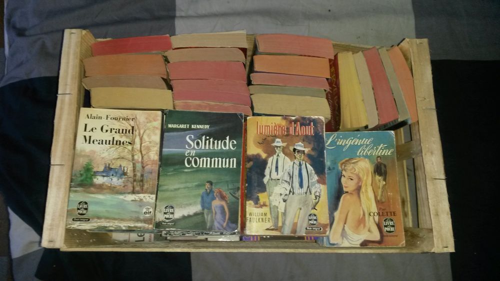 GROS LOT DE + de 50 livres Poche Livres et BD