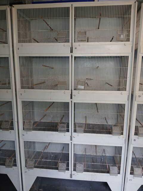 Cage  batterie voliere
45 78200 Mantes-la-jolie