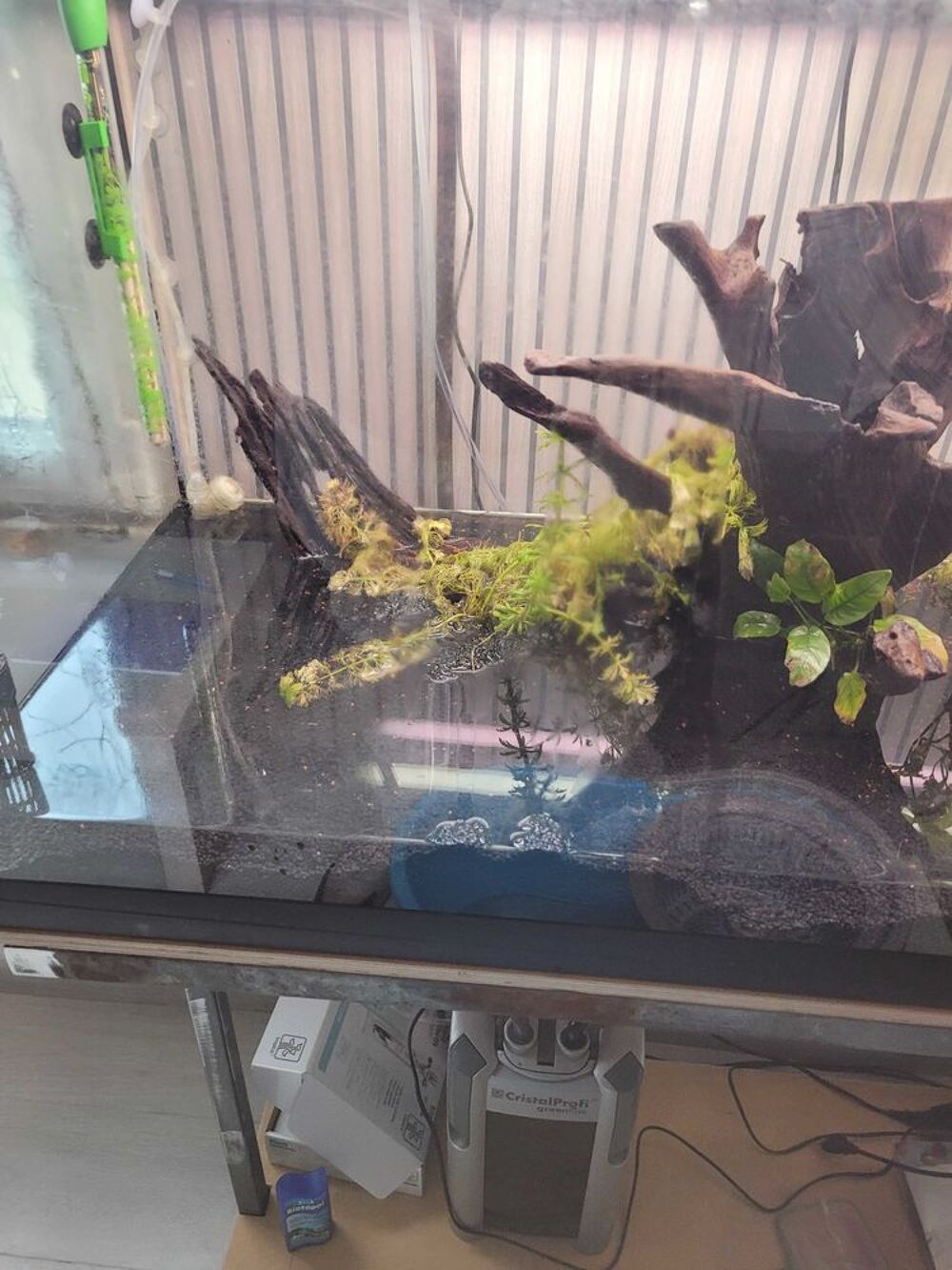 poisson aquarium Décoration