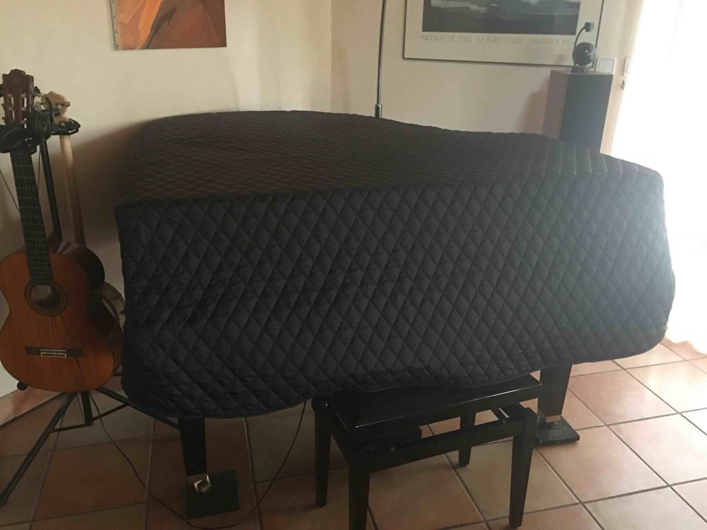 piano Yamaha silent CG1 queue 145 cause d&eacute;m&eacute;nagement Instruments de musique