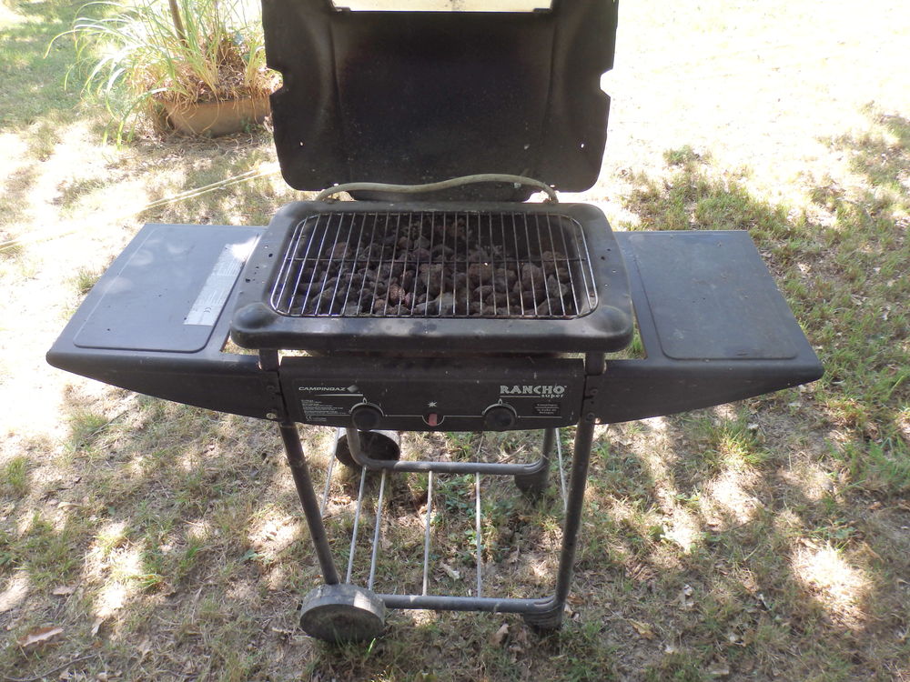 barbeuce Jardin