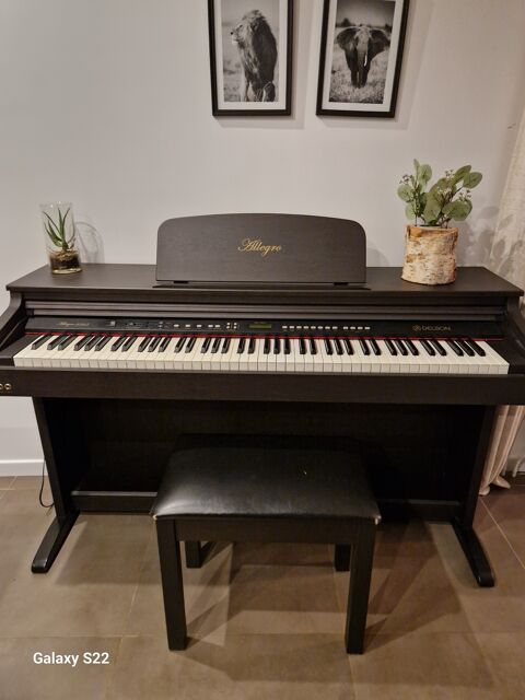 Piano numrique en trs bon tat 210 Crosne (91)