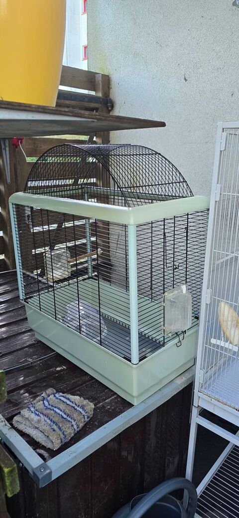 Cage oiseaux 40 44400 Rez�
