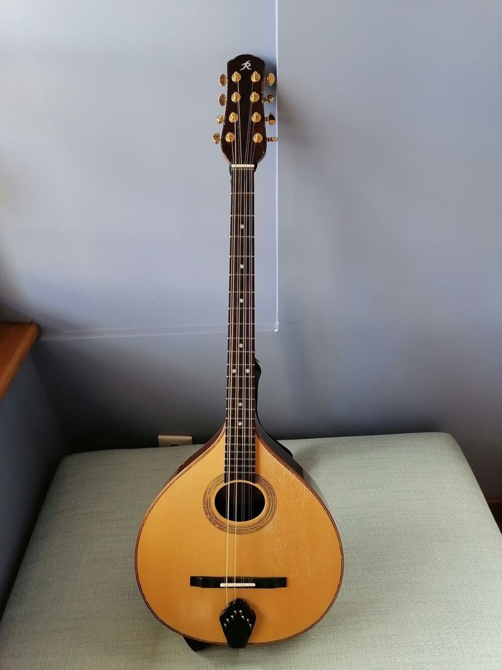 Achetez bouzouki irlandais occasion, annonce vente à BarleDuc (55