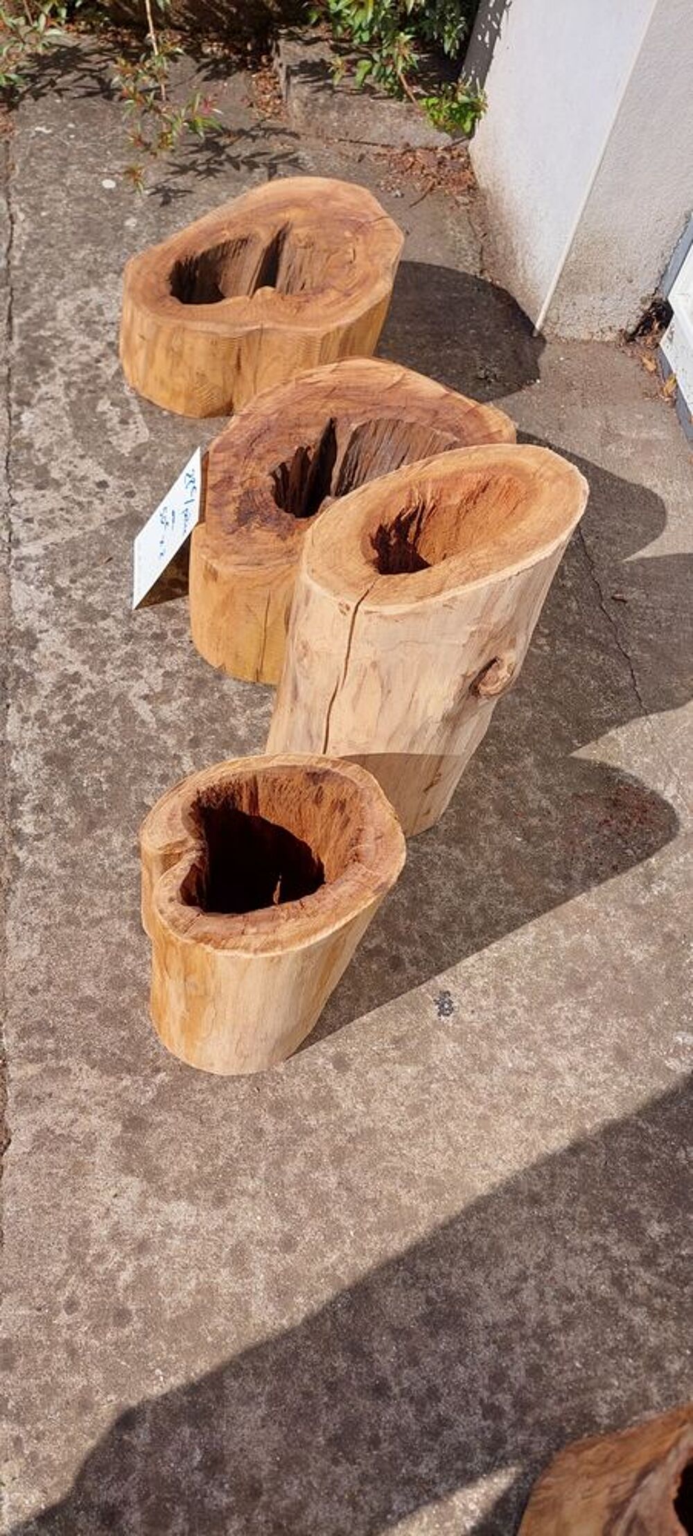 Promo tronc de Ch&acirc;taignier &agrave; partir de 20 € les 2 Jardin