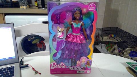Brooklyn Magie Barbie Mattel 30 La Bastide-l'�v�que (12)