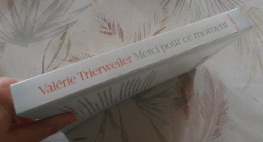 MERCI POUR CE MOMENT par Val&eacute;rie TRIERWEILER Ed. Les Ar&egrave;nes Livres et BD