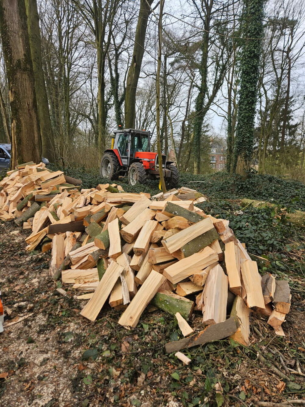bois de chauffage Jardin