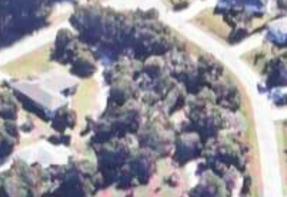 Vente Terrain TERRAIN CONSTRUCTIBLE USA ETAT UNIS EN FLORIDE 1000 m2 Vias