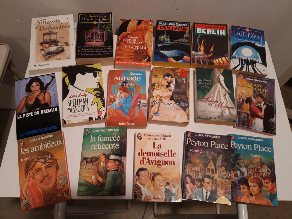 Livres de poche x 25 : Romans, Espionnage, Suspense, Policie Livres et BD