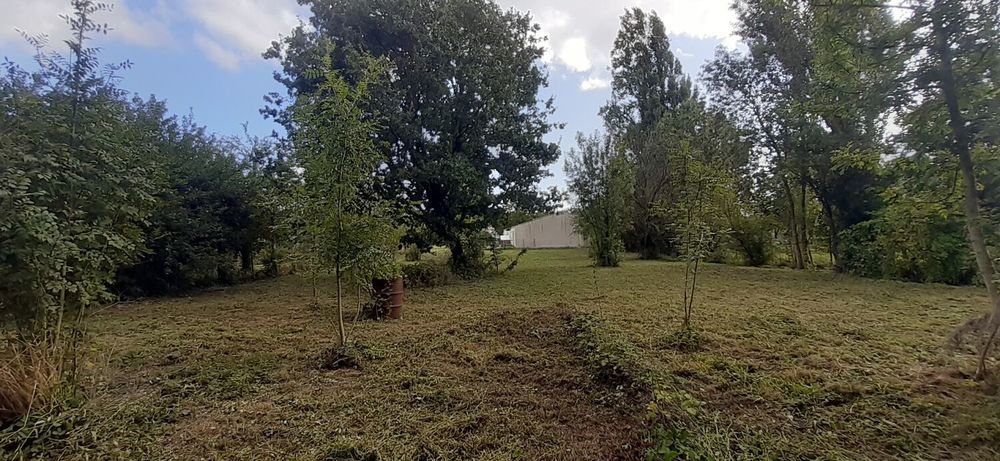 Vente Terrain AV terrain et donne parcelle attenante ST-Christophe 17220 Saint-christophe