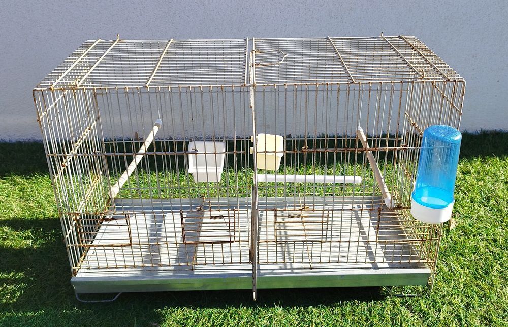   Cages oiseaux  