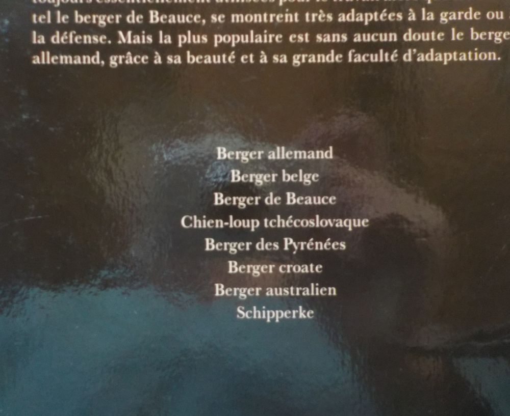 CHIENS DE BERGER Les chiens La grande encyclop&eacute;die visuelle Livres et BD