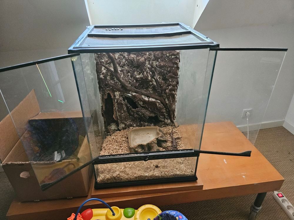 Terrarium (x2) et un occupant (boa) 
