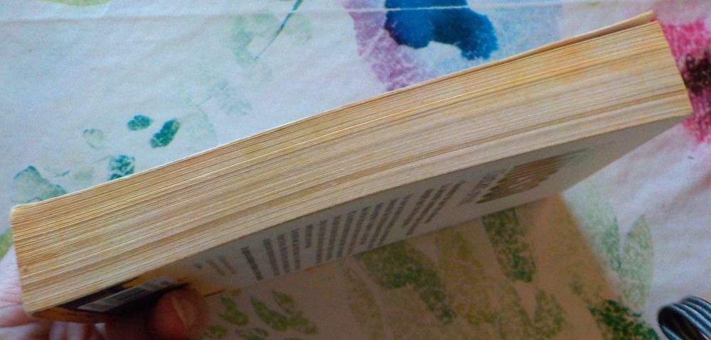 L'INSTANT PRESENT de Guillaume MUSSO Ed. Pocket Livres et BD