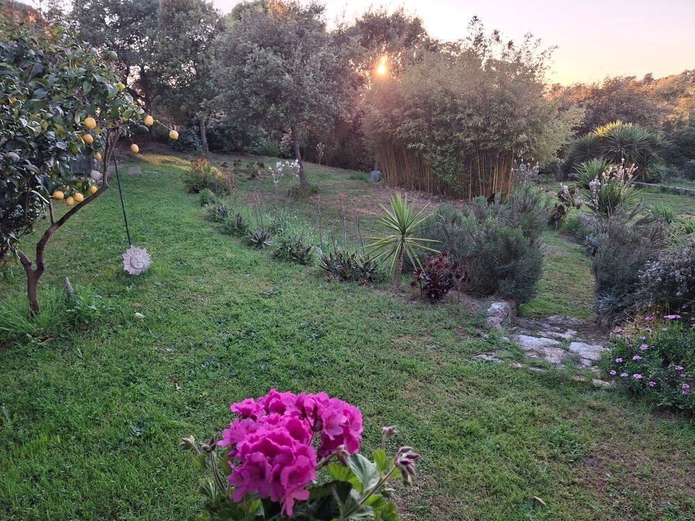 Vente Villa Villa 134m2 T3 + T2 à 5 minutes de la plage de la Liscia Sant'andréa-d'orcino