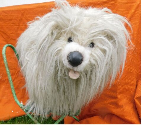 Chien Peluche 0 Saint-Hilaire-la-Palud (79)