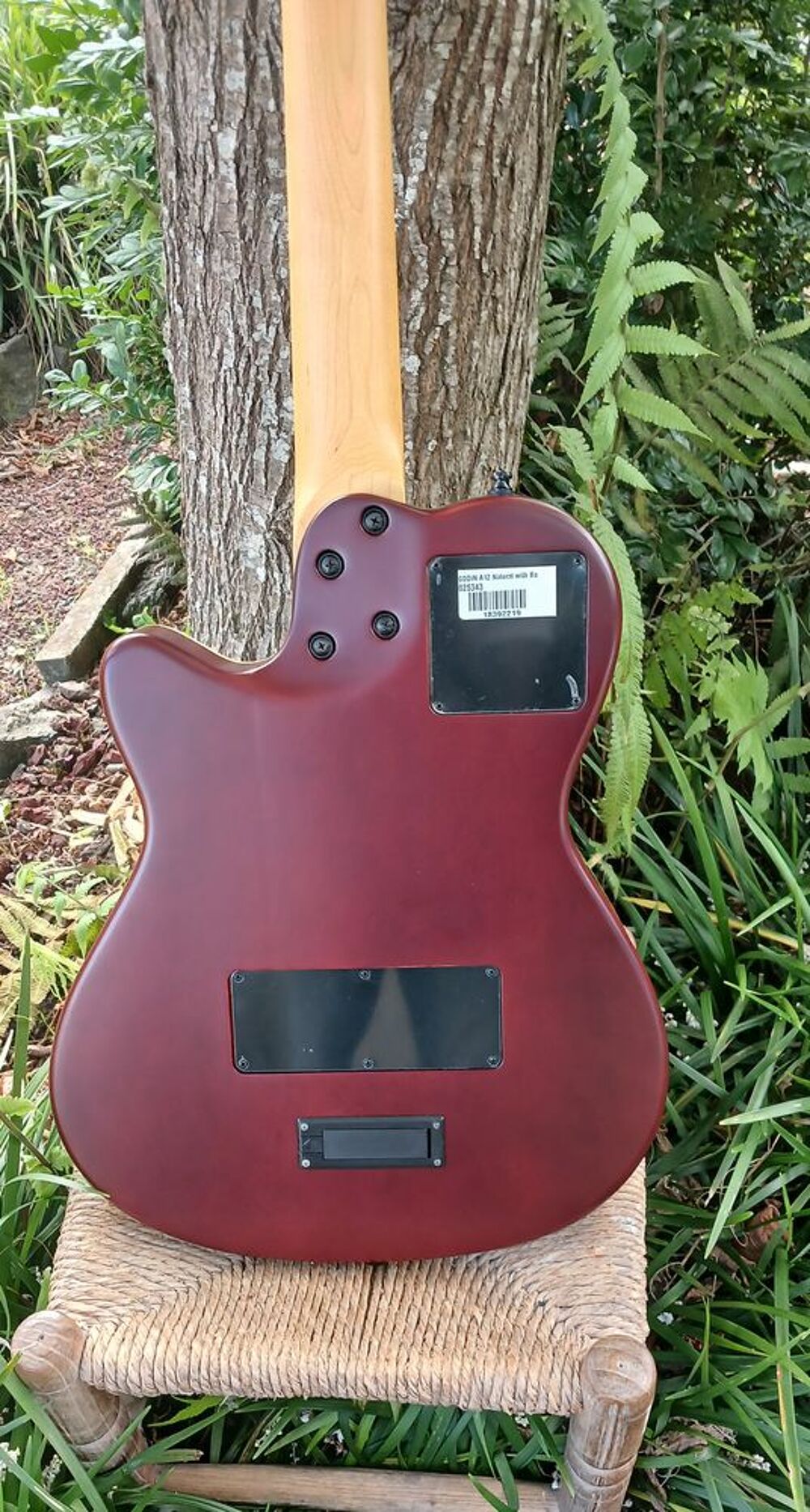 GUITARE ELECTRO ACOUSTIQUE GODIN 12 CORDES PARFAIT ETAT Instruments de musique