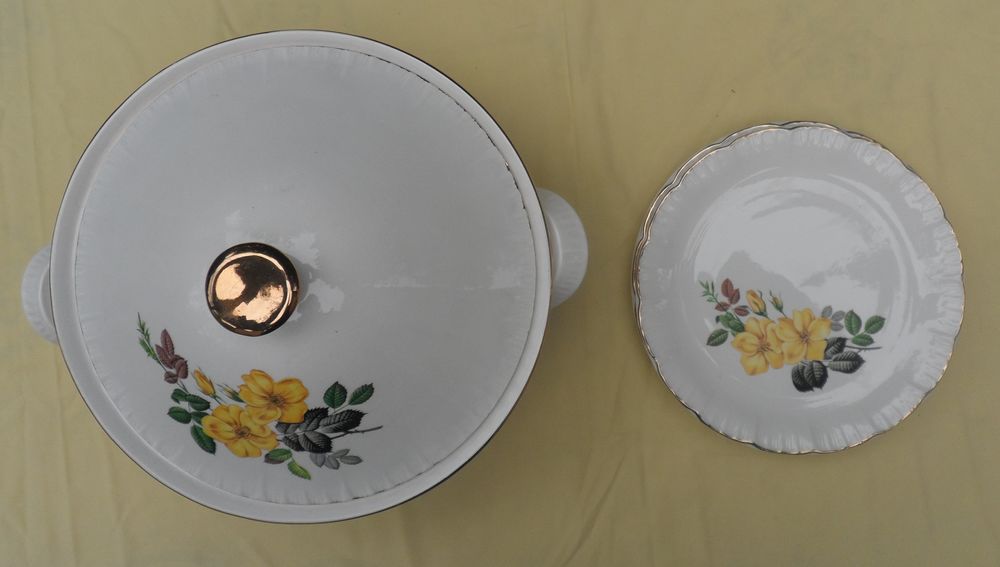 1 soupi&egrave;re + 4 assiette blanche fa&iuml;ence DIGOIN SARREGUEMINES Cuisine