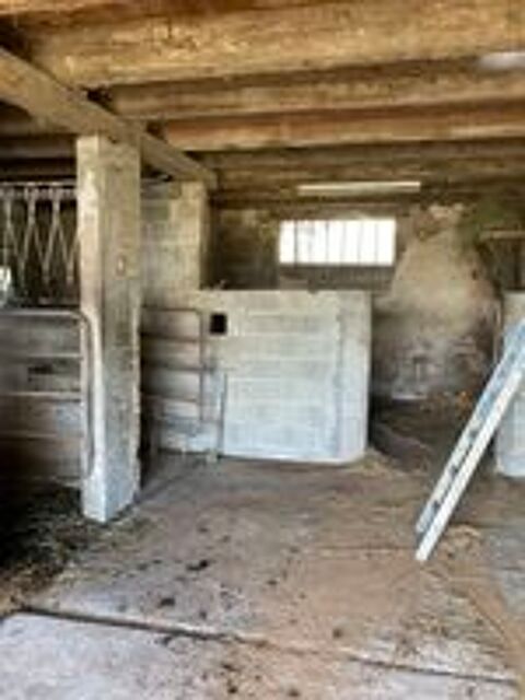   pension chevaux- anes 