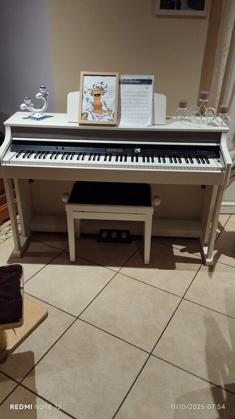 piano digital THOMANN DP 95 350 La Caillère-Saint-Hilaire (85)