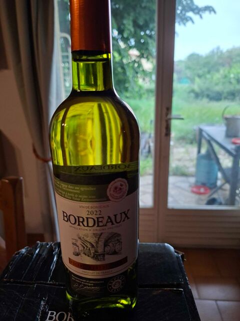 vins 10 Toulouse (31)