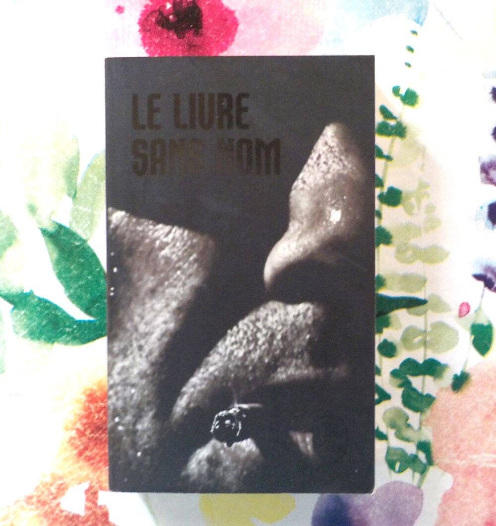 LE LIVRE SANS NOM de ANONYME Ed. Livre de poche Livres et BD