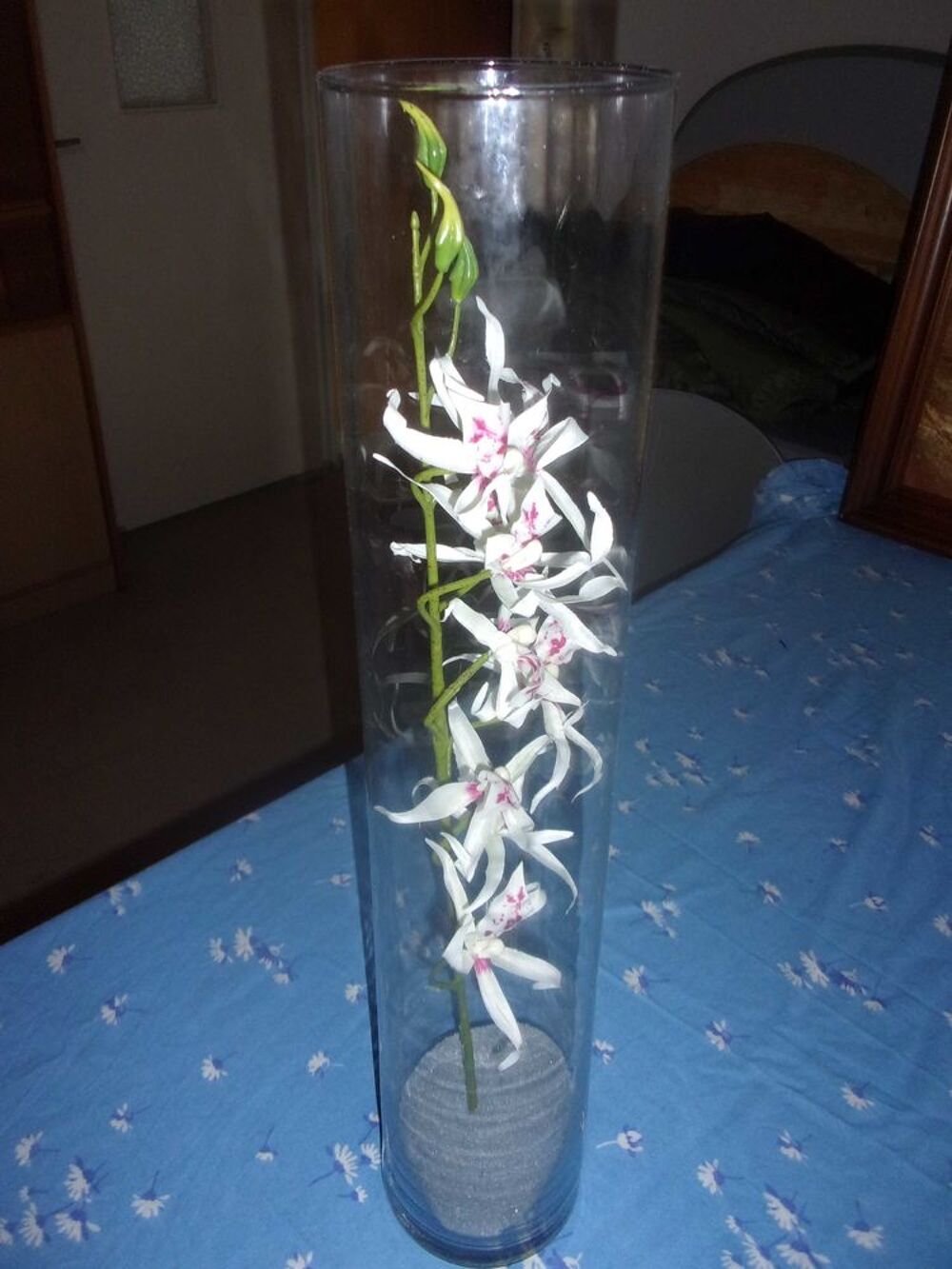 Vase en verre cylindrique fleur blanche d&eacute;co Décoration