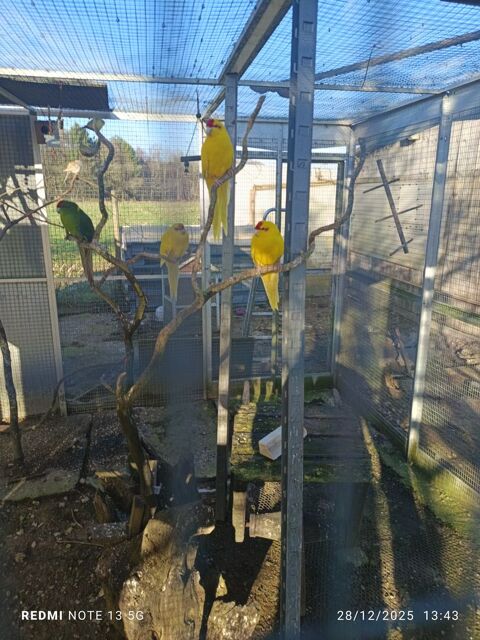 Kakariki 25 35340 Liffr�