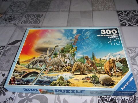 Puzzle Préhistoire 25 Concarneau (29)