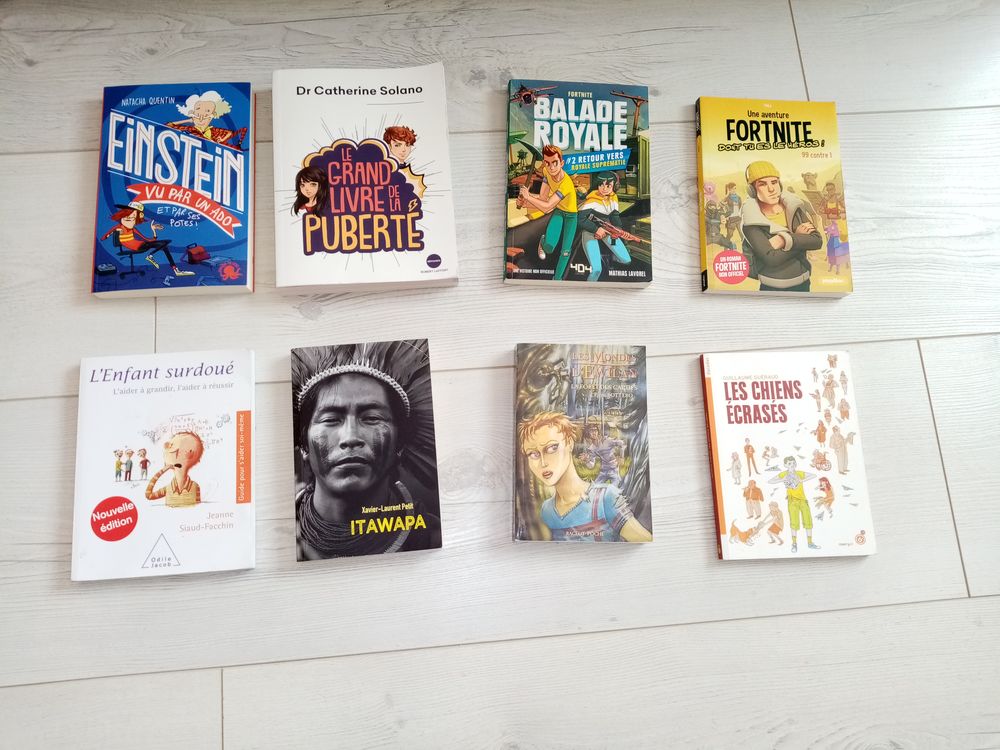 livre divers EINSTEIN fornite balade royale Livres et BD