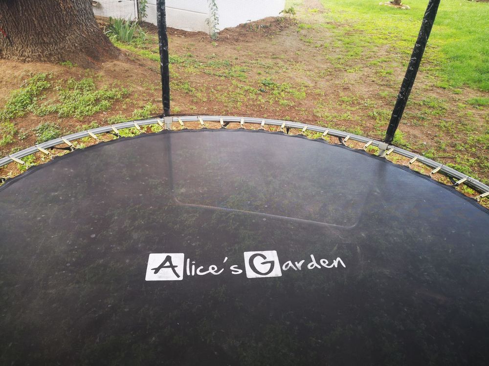 Trampoline Jeux / jouets