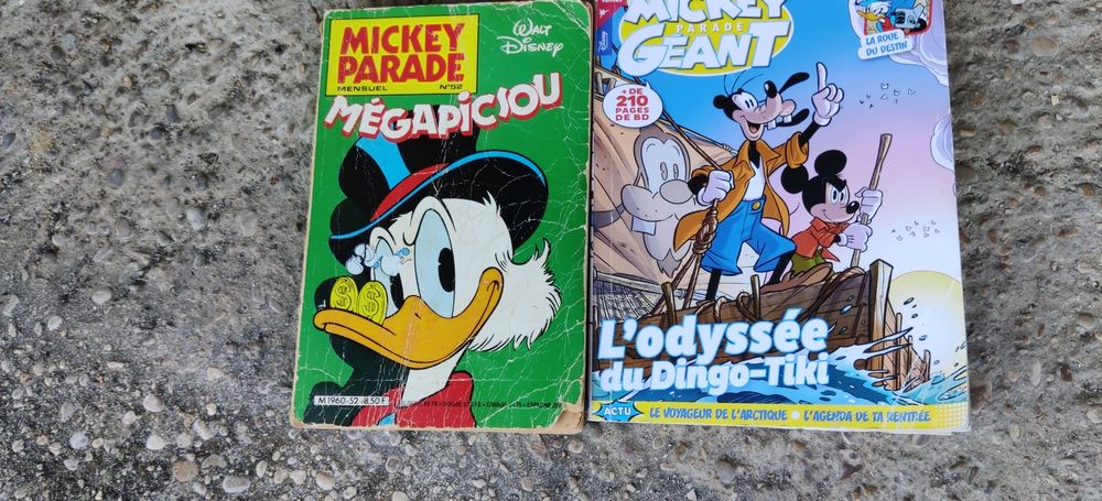 lot de 15 magazines BD Disney en bon &eacute;tat g&eacute;n&eacute;ral 30 € Livres et BD